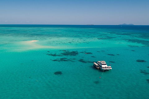 Ocean Freedom Great Barrier Reef Personal Luxury Snorkel & Dive Cruise, Cairns - Holiday Cairns 2