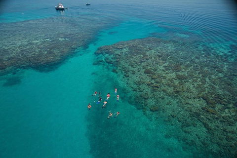 Ocean Freedom Great Barrier Reef Personal Luxury Snorkel & Dive Cruise, Cairns - Holiday Cairns 3