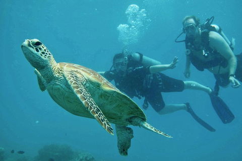 Ocean Freedom Great Barrier Reef Personal Luxury Snorkel & Dive Cruise, Cairns - Holiday Cairns 4