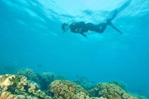 Ocean Freedom Great Barrier Reef Personal Luxury Snorkel & Dive Cruise, Cairns - Holiday Cairns 5