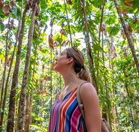 5 Day Australia Retreat Queensland Daintree