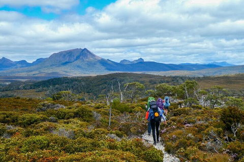 6 Day Trek The Cradle Mountain Overland Track - Holiday Cairns 5