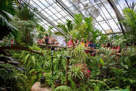 Australian Butterfly Sanctuary - Holiday Cairns 0