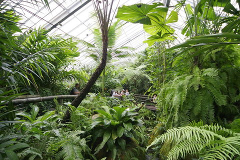 Australian Butterfly Sanctuary - Holiday Cairns 3