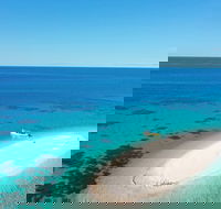 Ocean Safari Great Barrier Reef Experience in Cape Tribulation - Holiday Cairns