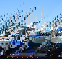 One Day Port Lincoln Tour - Tasting Eyre - Holiday Cairns