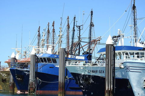 One Day Port Lincoln Tour - Tasting Eyre - Holiday Cairns 0
