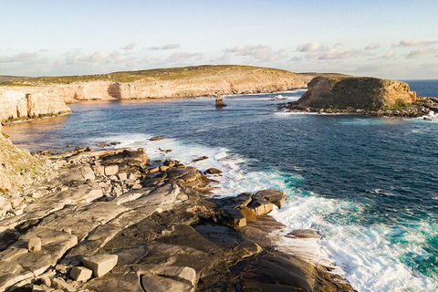 One Day Port Lincoln Tour - Tasting Eyre - Holiday Cairns 3