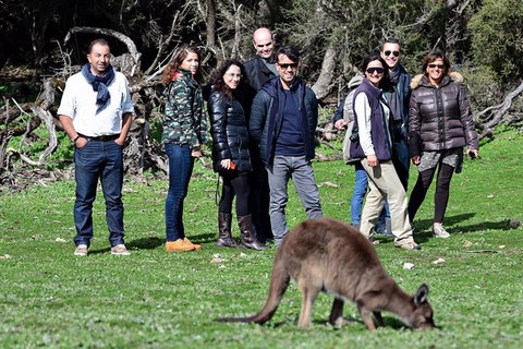 2-Day Kangaroo Island 4WD Small-Group Tour From Adelaide - Holiday Cairns 1