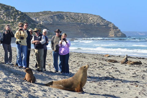 2-Day Kangaroo Island 4WD Small-Group Tour From Adelaide - Holiday Cairns 3