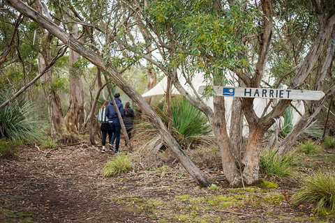 2-Day Kangaroo Island 4WD Small-Group Tour From Adelaide - Holiday Cairns 5