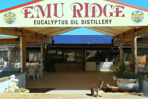 2 Day Ultimate Kangaroo Island With Return Ferry - Holiday Cairns 3