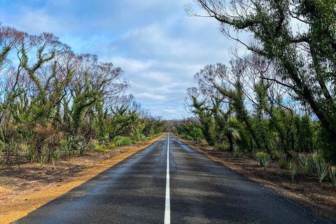 2 Day Ultimate Kangaroo Island With Return Ferry - Holiday Cairns 4