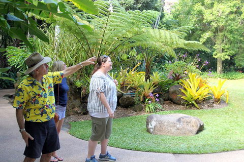 Cairns Shore Excursion: Cairns City Sights & Surrounds Tour - Holiday Cairns 4