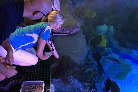 Cairns Aquarium Marine Life Encounter Ticket With 2-Course Lunch - Holiday Cairns 2