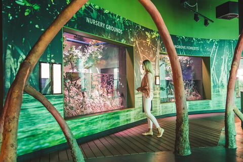 Cairns Aquarium Marine Life Encounter Ticket With 2-Course Lunch - Holiday Cairns 3