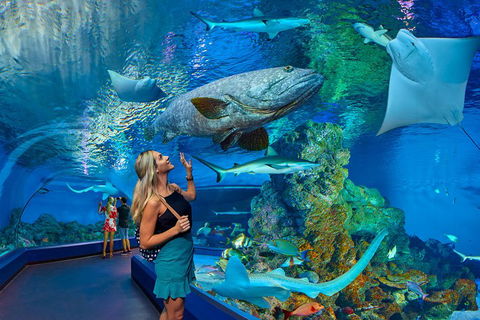 Cairns Aquarium Admission Ticket - Holiday Cairns 3