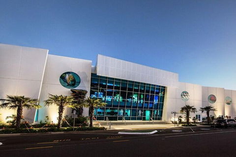 Cairns Aquarium Admission Ticket - Holiday Cairns 4
