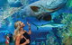 Cairns Aquarium Family Ticket - thumb 3