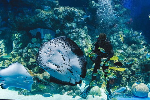 Cairns Aquarium Family Ticket - Holiday Cairns 4