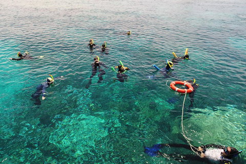 Seastar Luxury Outer Great Barrier Reef Island And Reef Tour From Cairns - Holiday Cairns 2