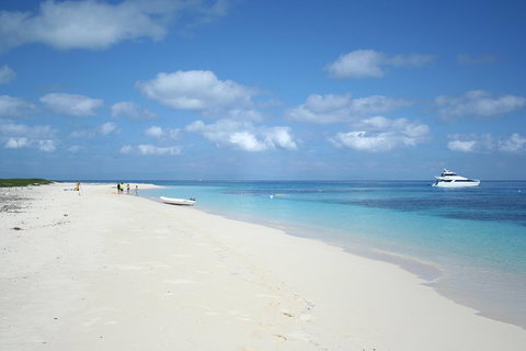 Seastar Luxury Outer Great Barrier Reef Island And Reef Tour From Cairns - Holiday Cairns 3