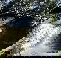 Cradle Mountain Day Tour from Launceston Including Lunch - Holiday Cairns