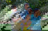 Small-Group Australia Zoo Day Trip from Brisbane, Noosa