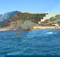 Kayaking with Dolphins in Byron Bay Guided Tour - Holiday Cairns