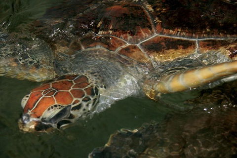 Cape Leveque 4WD Tour From Broome With Optional Return Flight - Holiday Cairns 2
