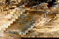 Southport Cemetery Paranormal Activity Tour QUEENSLAND, Surfers Paradise