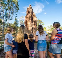 Litchfield National Park Waterfalls and Wildlife Tour from Darwin - Holiday Cairns