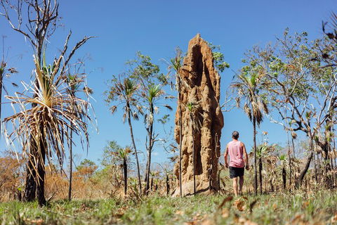 Litchfield National Park Waterfalls And Wildlife Tour From Darwin - Holiday Cairns 4