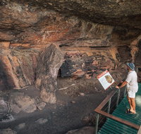 Kakadu National Park Wildlife and Ubirr Rock Art Tour from Darwin City - Holiday Cairns