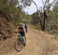 Mount Lofty Descent Bike Tour from Adelaide - Holiday Cairns