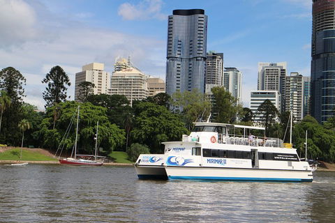 Lone Pine Koala Sanctuary Admission With Brisbane River Cruise - Holiday Cairns 2