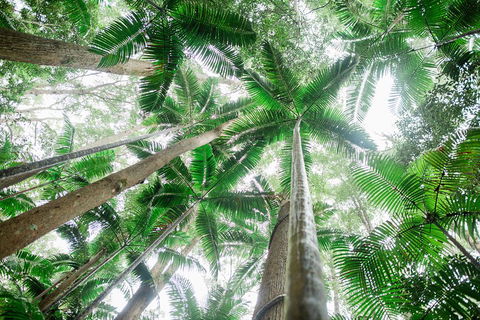 Fraser Explorer K'gari 2-Day Tour - Holiday Cairns 2