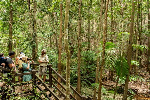 Fraser Explorer K'gari 2-Day Tour - Holiday Cairns 5
