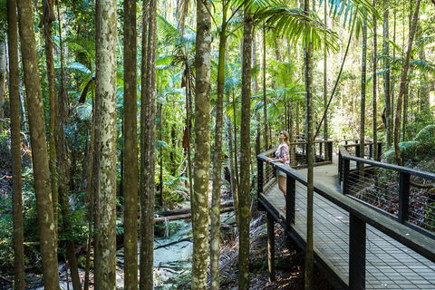 All-Inclusive Fraser Island Day Tour - Holiday Cairns 5