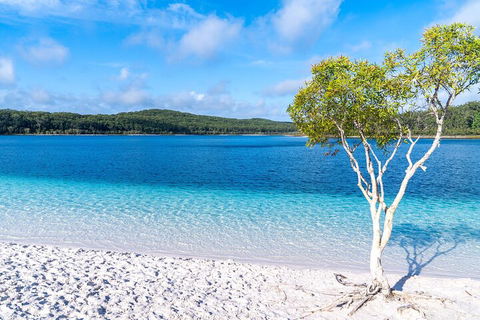 Lake McKenzie Full-Day Tour With Lunch From Hervey Bay - Holiday Cairns 1