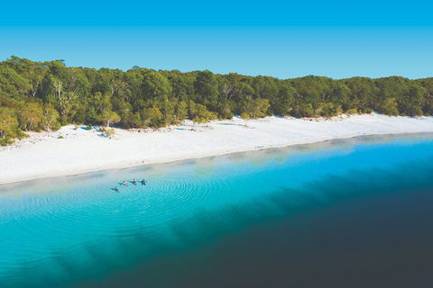 Lake McKenzie Full-Day Tour With Lunch From Hervey Bay - Holiday Cairns 4