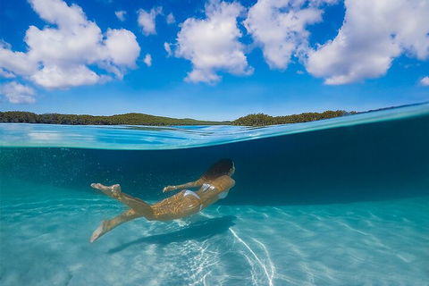 Lake McKenzie Full-Day Tour With Lunch From Hervey Bay - Holiday Cairns 5