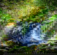 Day Tour in Mt. Field Mt. Wellington Bonorong Wildlife Sanctuary and Richmond - Holiday Cairns