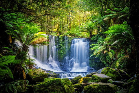 Day Tour In Mt. Field, Mt. Wellington, Bonorong Wildlife Sanctuary And Richmond - Holiday Cairns 0