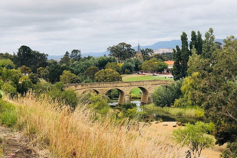 Day Tour In Mt. Field, Mt. Wellington, Bonorong Wildlife Sanctuary And Richmond - Holiday Cairns 3