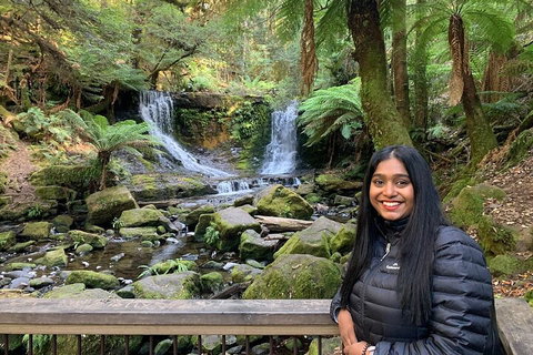 Day Tour In Mt. Field, Mt. Wellington, Bonorong Wildlife Sanctuary And Richmond - Holiday Cairns 5