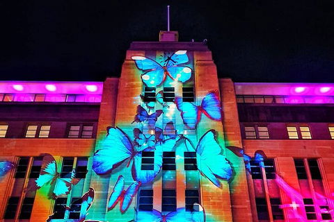 Vivid 90-Minute Sydney Harbour Small Group Catamaran Cruise - Holiday Cairns 0