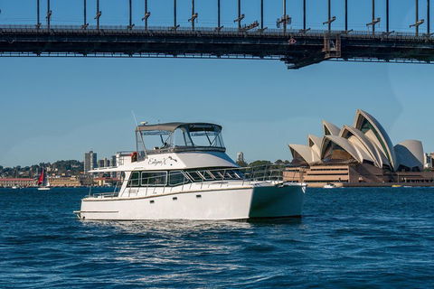 Vivid 90-Minute Sydney Harbour Small Group Catamaran Cruise - Holiday Cairns 2