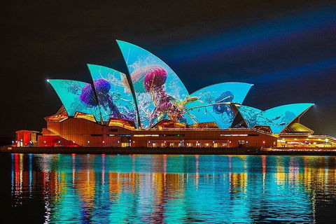 Vivid 90-Minute Sydney Harbour Intimate Catamaran Cruise With Canapes - Holiday Cairns 2