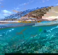 Great Barrier Reef Scenic Flight and Ocean Rafting Whitehaven Beach Day Trip - Holiday Cairns